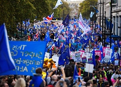 Người Anh mặc cờ EU cho chó rồi dẫn đi biểu tình chống Brexit