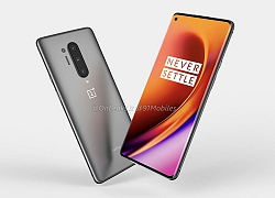 OnePlus 8 Pro lộ diện rõ nét trong video 360 độ