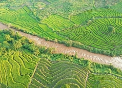 Ruộng bậc thang Chư Sê nhìn từ trên cao