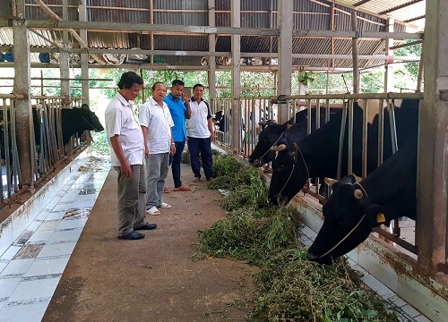 Sóc Trăng: Tỉnh nghèo 10 năm xây dựng NTM đạt được những gì?