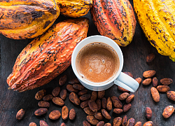 Chuyện những cặp đôi không hoàn hảo 19: Cacao và sữa tưởng kết hợp "keo sơn" nào ngờ "như nước với lửa"