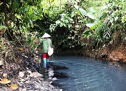 Vụ nước sông Đà nhiễm dầu thải: Cần giám sát thường xuyên, bảo vệ nguồn nước cấp