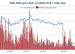 Ai sẽ mua 35 triệu cổ phiếu quỹ của ACB?