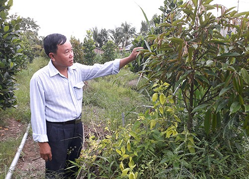 Chuẩn hóa kiến thức cho nông dân "thủ phủ trái cây" Tiền Giang