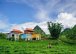 Cứ tha hồ tung tẩy khám phá vùng núi vào mùa đẹp nhất trong năm vì đã có trong tay danh sách homestay xinh như mộng đây rồi