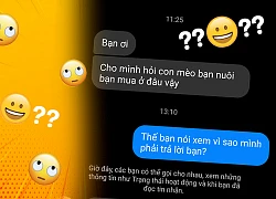 Dân mạng 9 người 10 ý vụ gái xinh hỏi mua mèo thì bị vặn vẹo: Ai mới là người bất lịch sự, vô duyên đây?