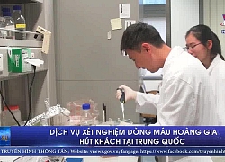 Dịch vụ xét nghiệm "dòng máu hoàng gia" hút khách tại Trung Quốc