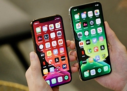 Doanh số iPhone 11 Pro vượt kỳ vọng, Samsung cũng được "thơm lây"