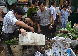 Hà Nội: Dự kiến hết tháng 11 sẽ khống chế được dịch sốt xuất huyết