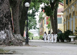 Hà Nội: Phó Chủ tịch UBND Thành phố chỉ đạo làm rõ vi phạm của Hiệu trưởng trường THPT Chu Văn An