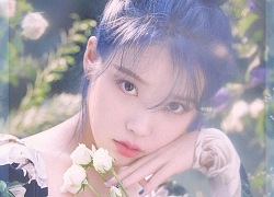 IU lần thứ 2 hoãn lịch ra mắt album, trực tiếp gửi lời xin lỗi người hâm mộ