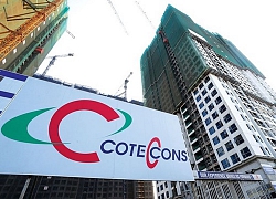 Lợi nhuận của Coteccons giảm 65%