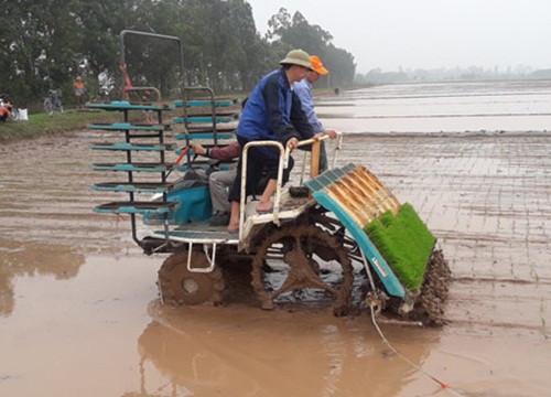 Nguyên Chủ tịch tỉnh Nghệ An: Lách luật, miễn thuế đất cho nông dân