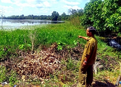 Nhiều nhân chứng bị Tòa án huyện Vĩnh Cửu ngó lơ?