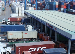 Phát hiện hàng trăm container vi phạm quy định xuất nhập khẩu