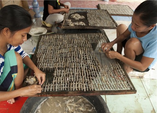 "Sởn da gà" với đặc sản khô thằn lằn "ngồi chễm chệ" trên bàn nhậu