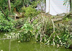 Tìm sự thật nghi án vợ hạ sát chồng rồi phi tang xuống ao ở Tuyên Quang