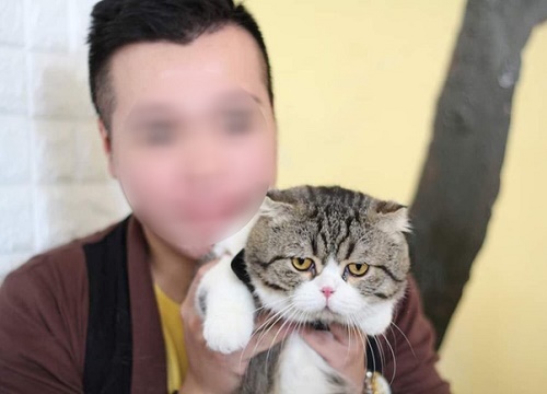 Trở thành ngôi sao sáng nhất MXH thôi là chưa đủ, "Hoàng tử khó tính" hạnh họe người hỏi mua mèo được anh chị em khắp nơi đòi tặng quà 20/10 muộn
