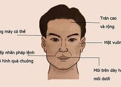 Muốn biết chồng bạn có tướng làm quan, thành đại gia hay không, hãy nhìn vào 5 đặc điểm dưới đây