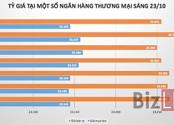 Tỷ giá trung tâm tăng lần đầu trong 4 phiên