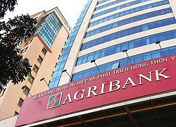 Agribank báo lợi nhuận 9.700 tỷ đồng sau 9 tháng, hoàn thành 88% kế hoạch năm