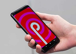 Android 9 mới được cài đặt trên hơn 20% hệ sinh thái