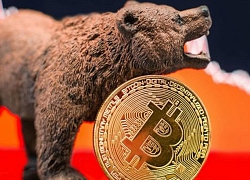 Bitcoin lùi sâu về 7.000 USD