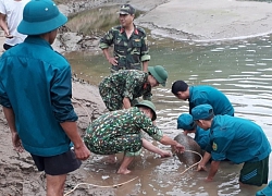 Bom "khủng" nặng đến 343 kg được nhô lên trên dòng Nậm Mộ