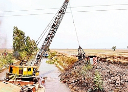 Chủ động phòng, chống hạn hán, xâm nhập mặn mùa khô