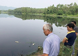 Chưa có biện pháp xử lý triệt để ô nhiễm môi trường ở Công ty Gia Cầm Hòa Phát Phú Thọ