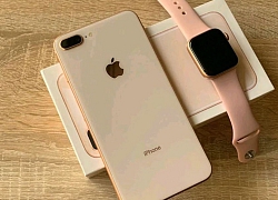 Đánh giá camera iPhone 8 Plus: Vẫn rất tốt dù chỉ 2 camera