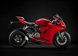 Ducati Panigale V2: bản giá rẻ của Panigale V4, "trung thành" với máy L-Twin