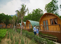 Farmstay - mô hình độc đáo và hấp dẫn