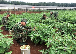 Góp sức xây dựng nền quốc phòng toàn dân vững mạnh