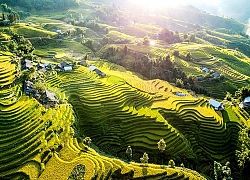 Kỳ vĩ ruộng bậc thang Sa Pa