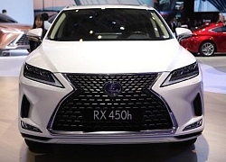 Lexus chính thức giới thiệu RX và GX mới phiên bản 2020 tại Việt Nam