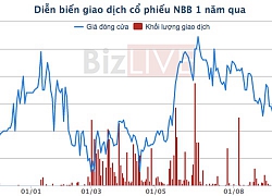 Nhờ chuyển nhượng cổ phần, NBB có khoản lãi 9 tháng gấp 5 lần cùng kỳ