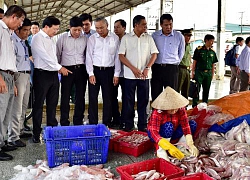 Phó Thủ tướng Trịnh Đình Dũng, Trưởng ban IUU làm việc tại Kiên Giang về nỗ lực chống khai thác IUU