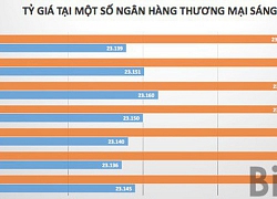 Tỷ giá USD/VND tiếp tục ổn định