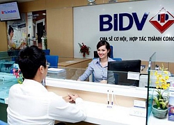 BIDV quyết định chi trả cổ tức bằng tiền mặt với 4.786 tỷ đồng