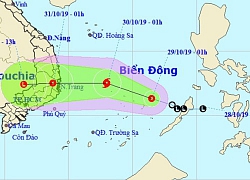 Bình Định - Ninh Thuận có thể đón bão trong 2 ngày tới