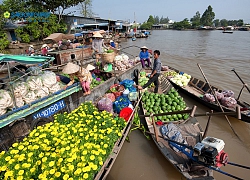 Cần Thơ phát triển du lịch sông nước, miệt vườn