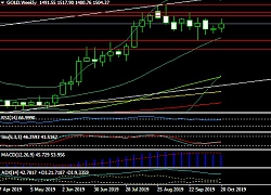 Giá vàng tuần từ 28/10- 1/11: Cẩn trọng định hướng của FED