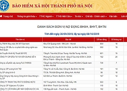 Hà Nội công khai 500 doanh nghiệp nợ BHXH trên 6 tháng