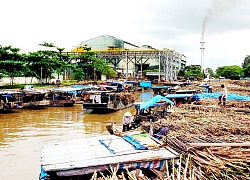 Hai thái cực tại công ty Mía đường Cần Thơ