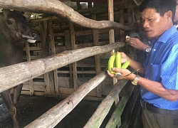 Hội Nông dân tăng cường hội viên là chuyên gia, học sinh, sinh viên