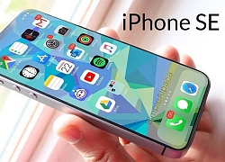 iPhone SE 2 sẽ bắt đầu sản xuất hàng loạt vào tháng 1 và ra mắt vào cuối tháng 3/2020