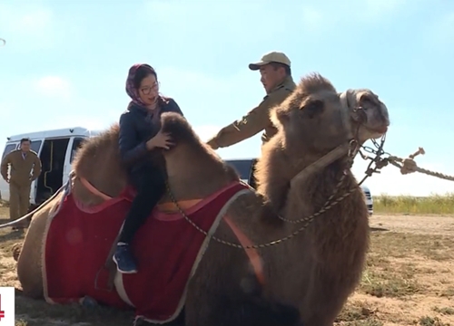 Khám phá thảo nguyên Kalmykia