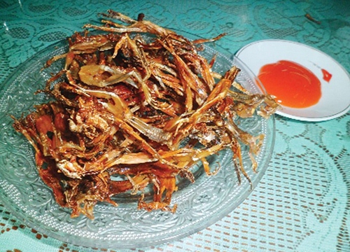 Khô nhái ngày mưa