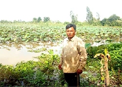 Lạ mà hay: Nuôi loài cá suýt tuyệt chủng dưới ao sen, bán đắt tiền